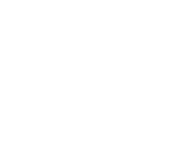 netzwerk-icon.png